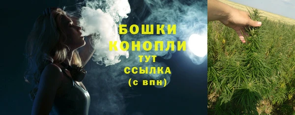 spice Дмитриев