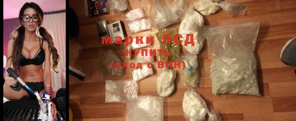 spice Дмитриев