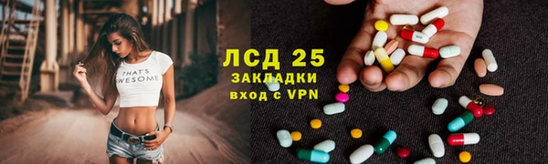 стафф Дмитров