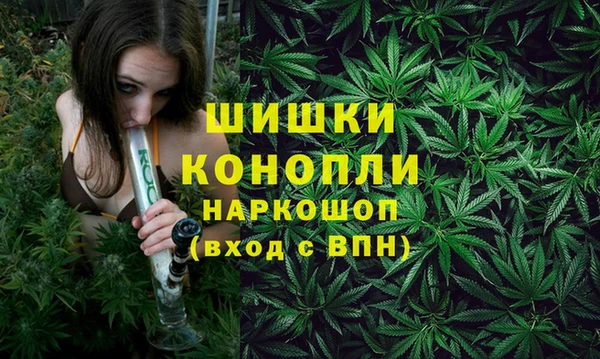 spice Дмитриев