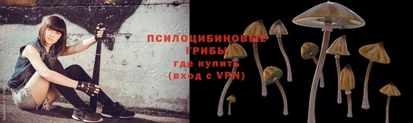 стафф Дмитров