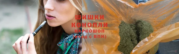 стафф Дмитров