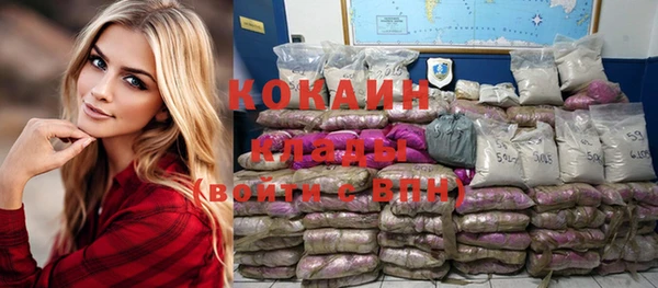 стафф Дмитров