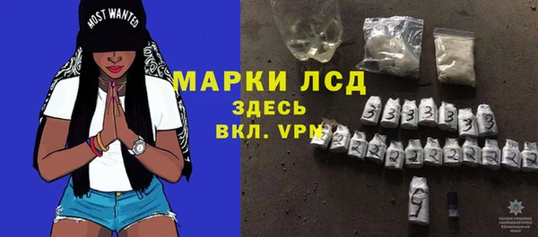 spice Дмитриев