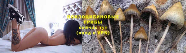jwh Дмитровск