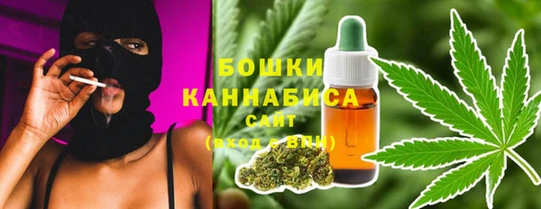 spice Дмитриев