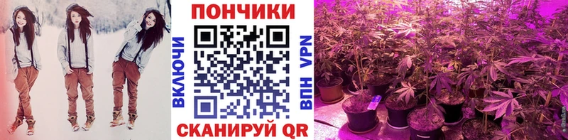 Купить закладки  Невель  Бошки марихуана OG Kush 